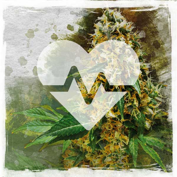 CBD Medical
