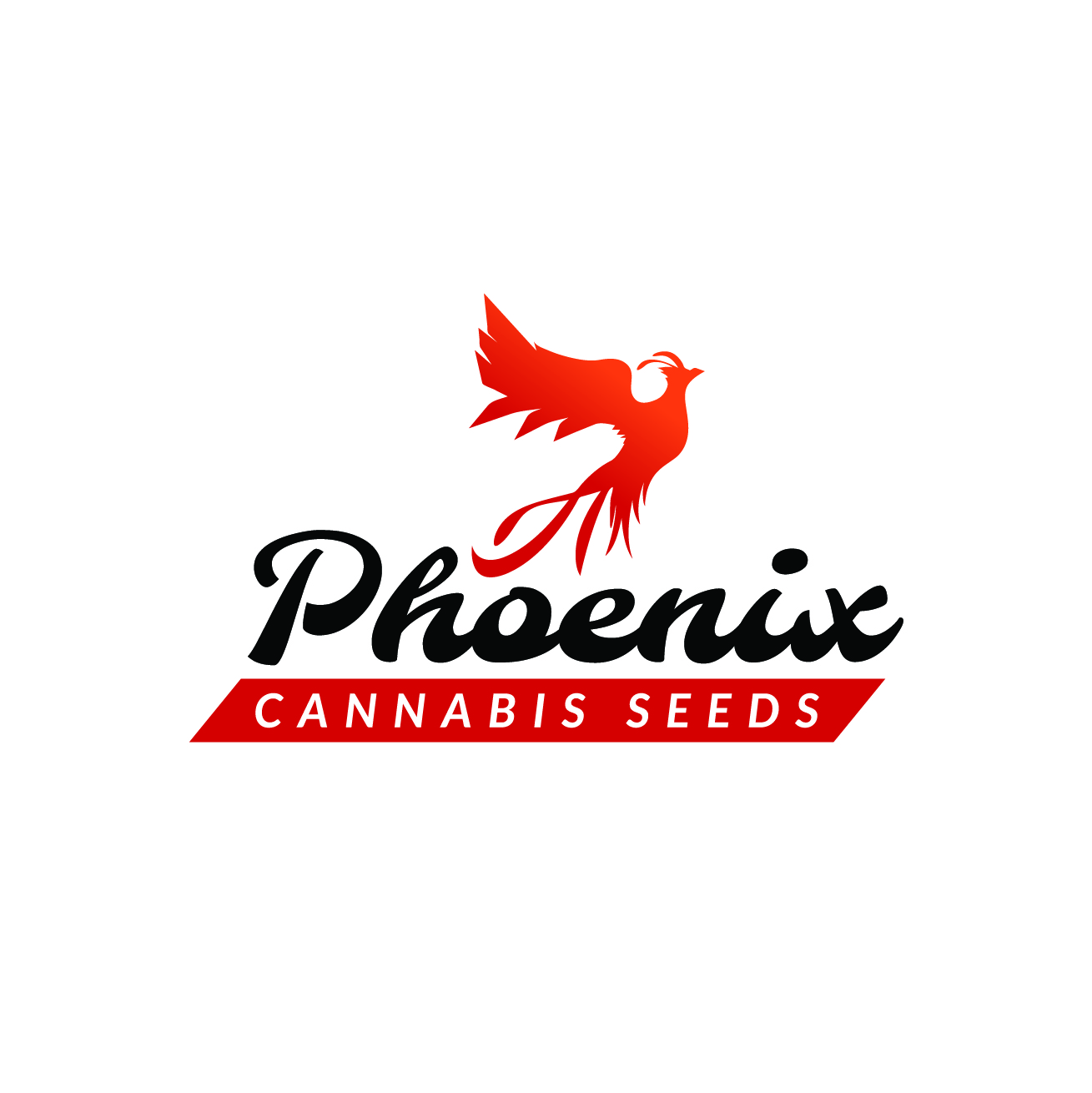 Phoenix Seeds