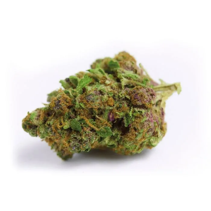 Red Banana Berry  Double XL Auto Feminised Seeds
