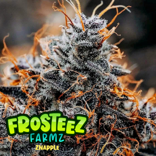 Znapple Feminised Seeds