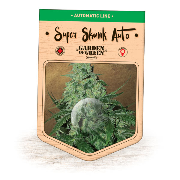 Super Skunk Auto Feminised Seeds