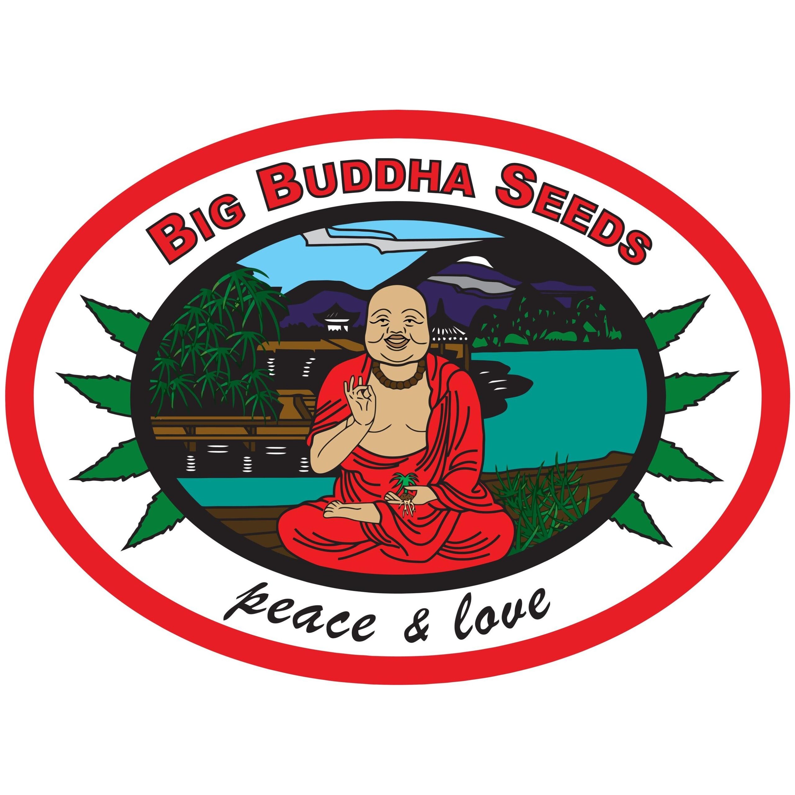 Big Buddha Seeds