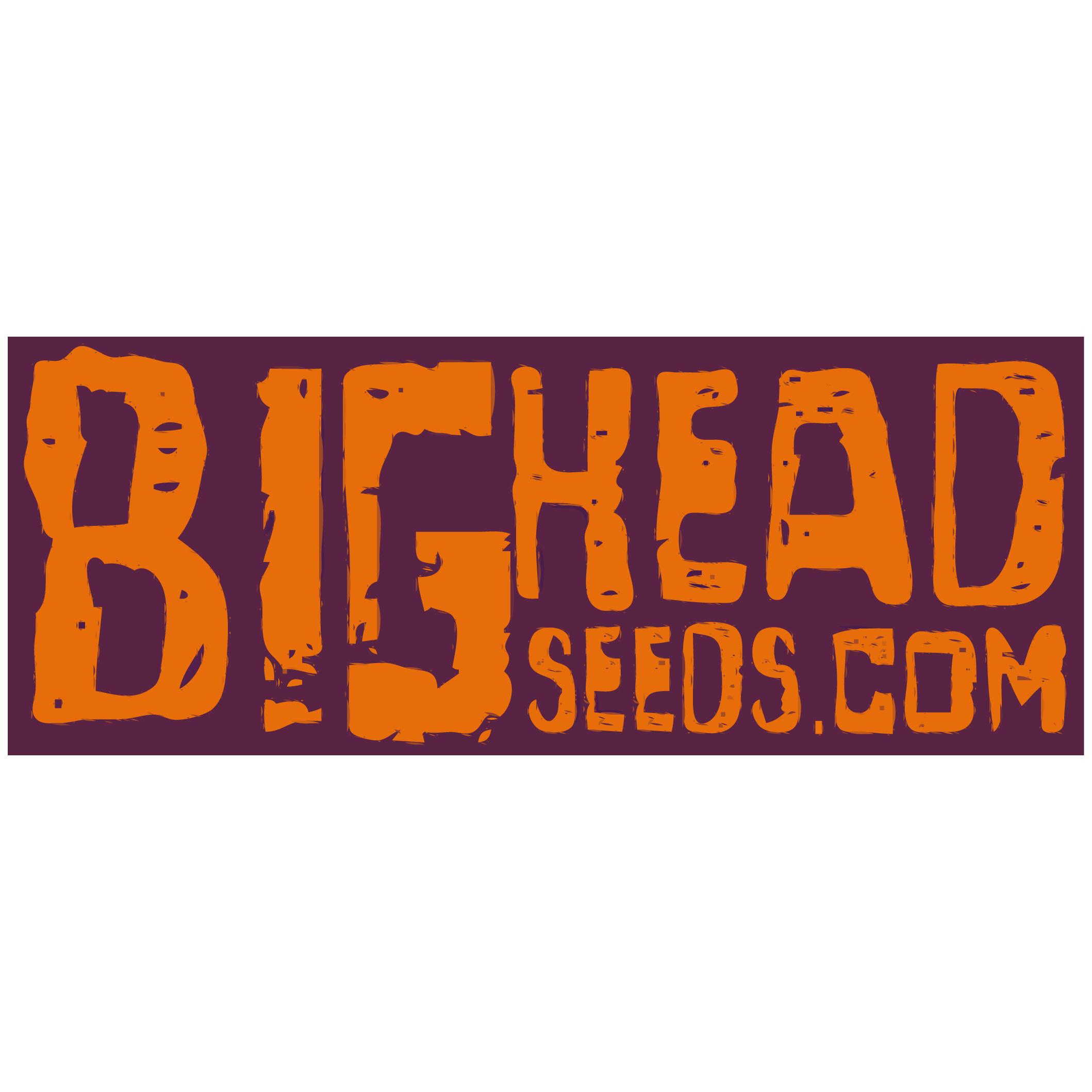 Big Head Seeds