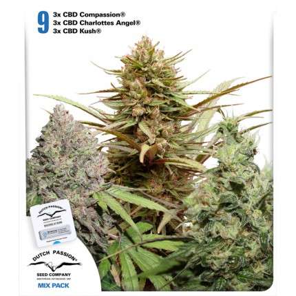 CBD Rich Feminised Mix -9 seeds (3 each of CBD Compassion, CBD Charlotte's Angel, CBD Kush) Feminised Dutch PassionSeeds