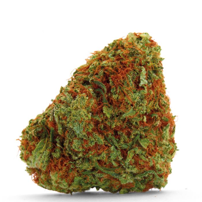 Bubblegum x Fat Hog Feminised Seeds