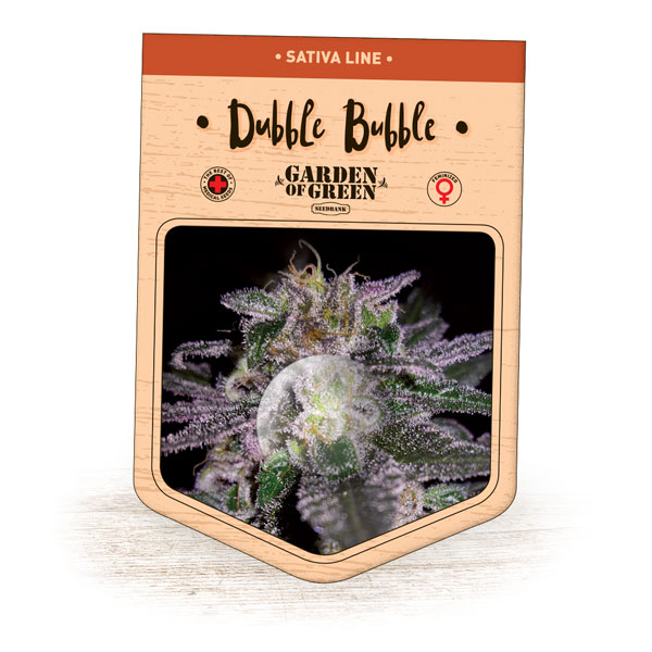 Dubble Bubble Feminised Seeds