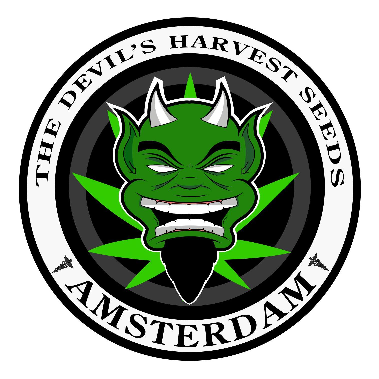 Devil Harvest Original