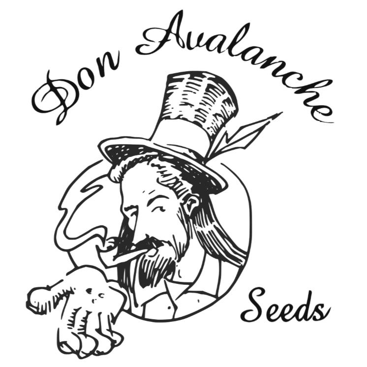 Don Avalanche Seeds