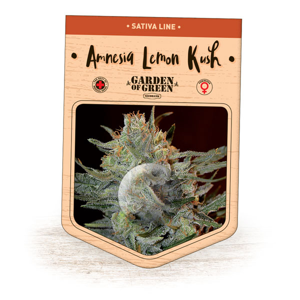 Amnesia Lemon Kush Feminised Seeds