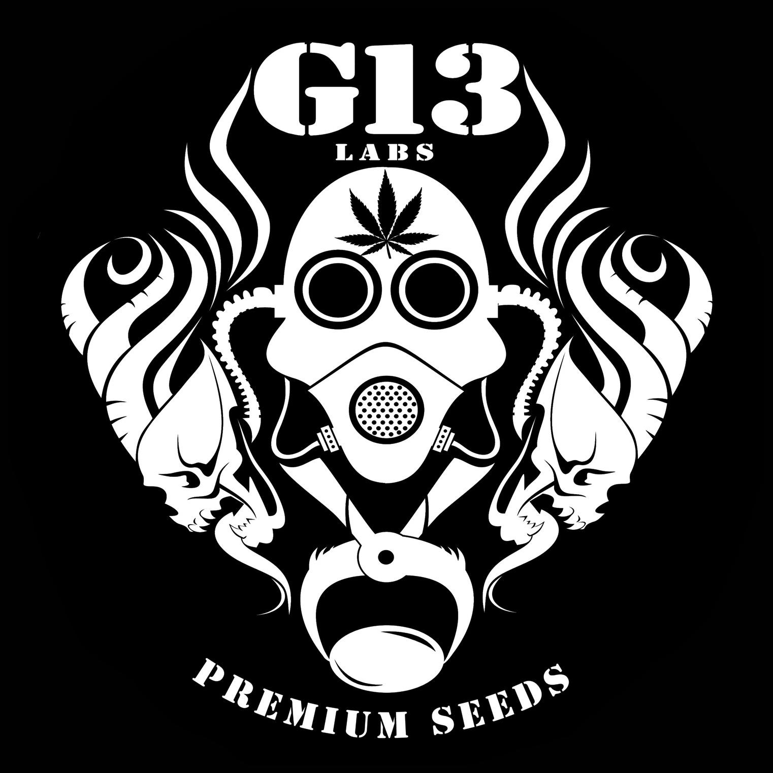G13 Labs