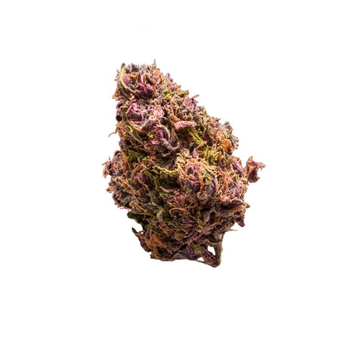 Red Jack Auto Feminised Seeds