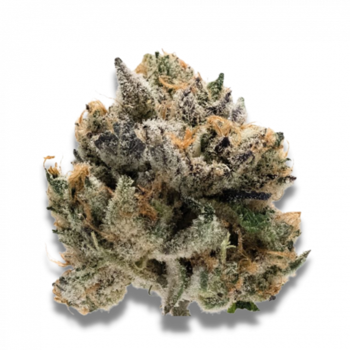 Tropical Cookies Feminised Seeds
