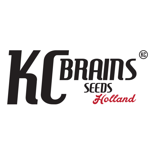Kc Brains Seeds