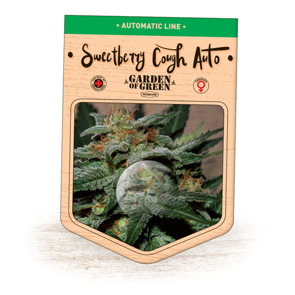 Sweetberry Cough Auto Feminised Seeds