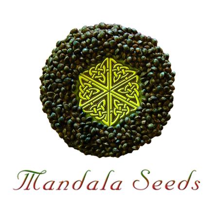 Mandala Seeds