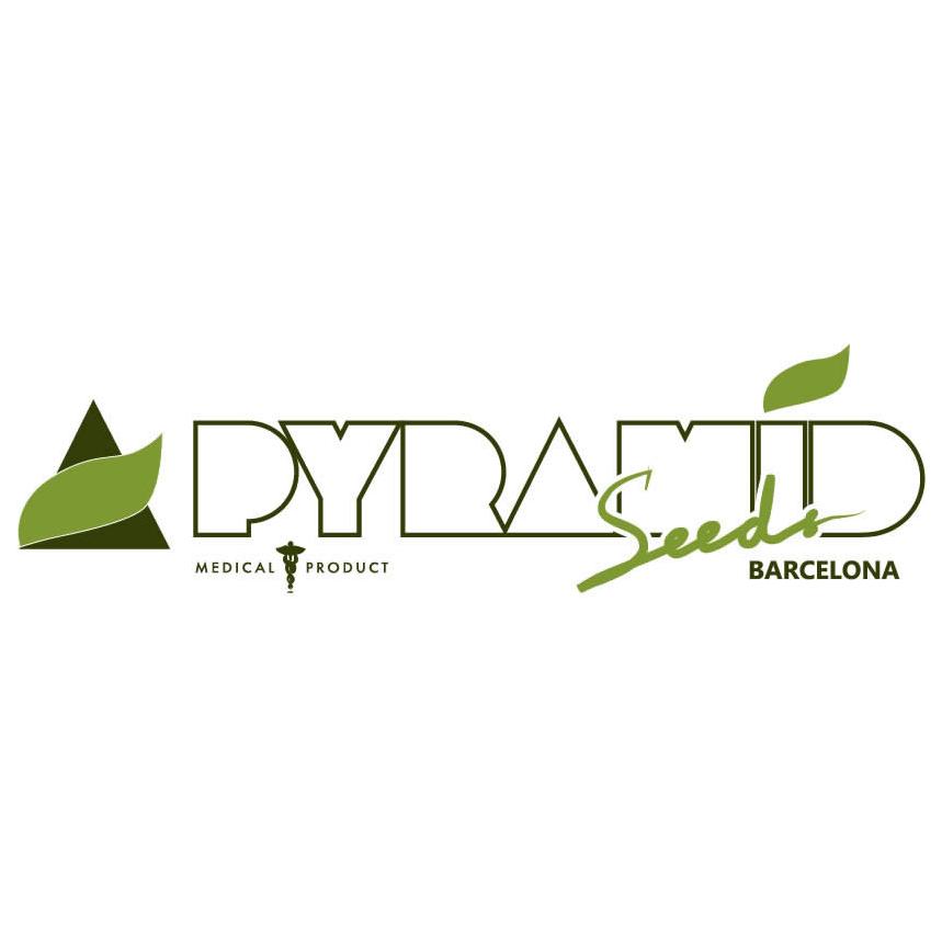 Pyramid Seeds