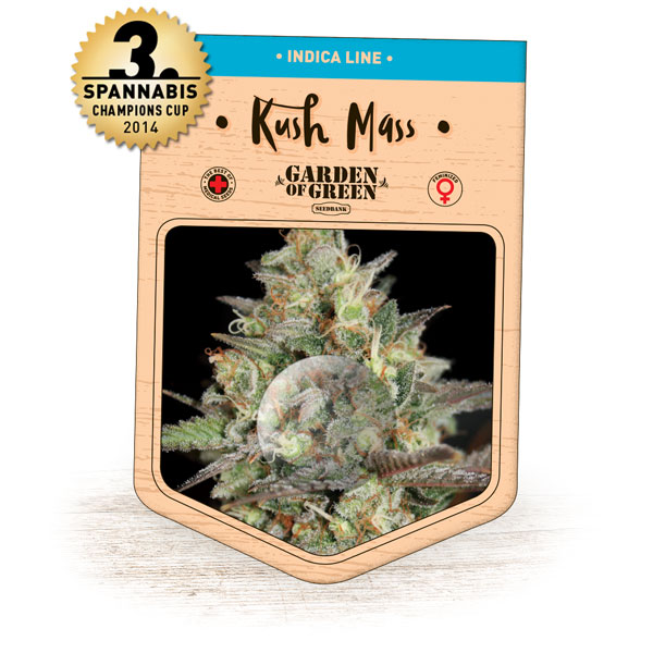 Kush Mass Feminised Seeds
