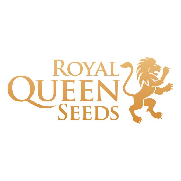 Royal Queen Seeds