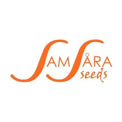 Samsara