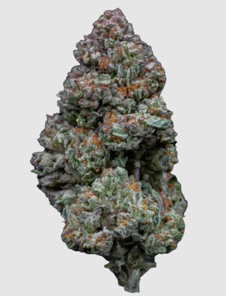 RS11 Feminised Seeds