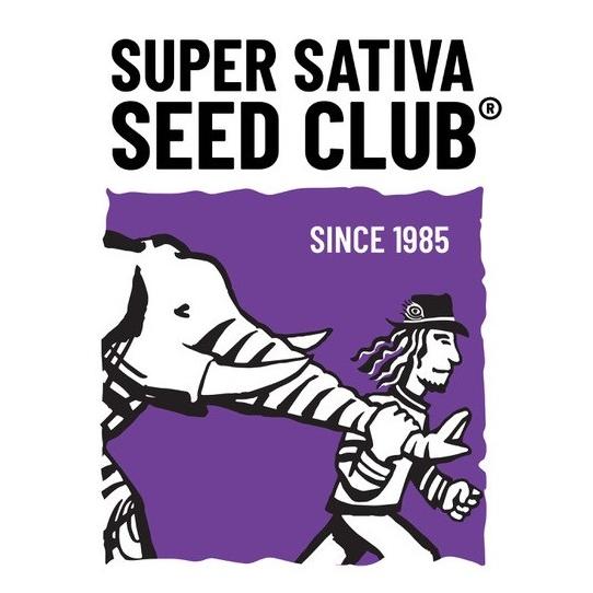 Super Sativa Seed Club