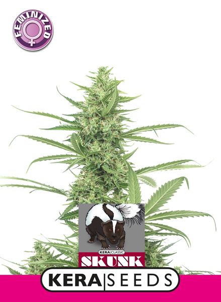 Skunk Feminised Seeds