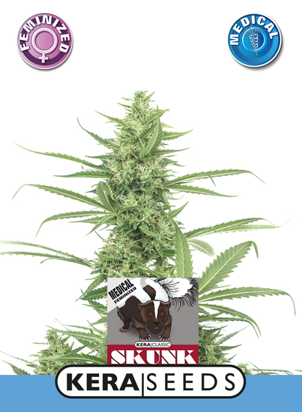 Medical Skunk Feminised Seeds