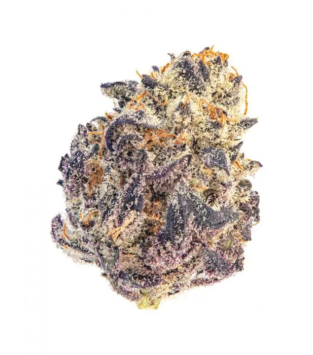 Cherry Mac Muffin Feminised Growers Choice Seeds