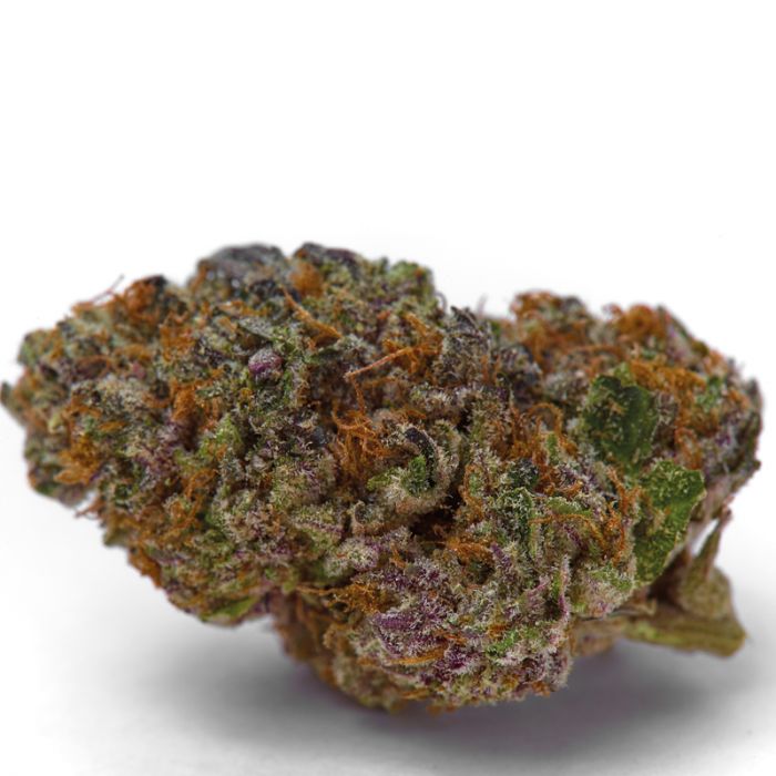 Blue Dream Sherbet Feminised Seeds