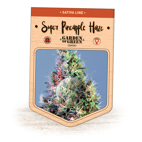 Super Pineapple Haze Feminised Seeds
