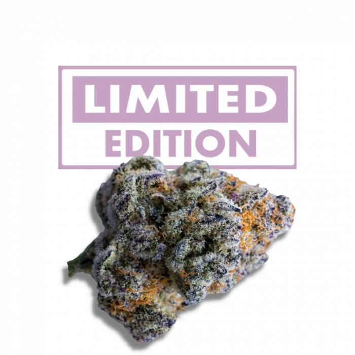 Platinum Mimosa Cookies Double XL Auto Feminised Seeds