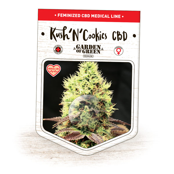 Kush n Cookies CBD Feminised Seeds