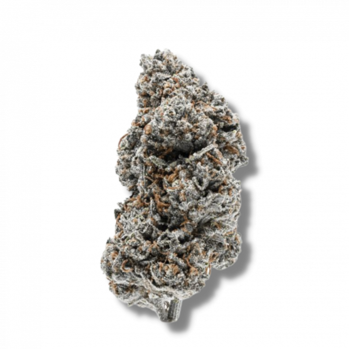 Tangerine Sherbet Feminised Seeds