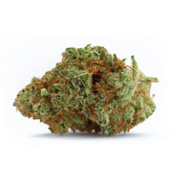 Naranja Biscotti FAST Version Feminised Seeds