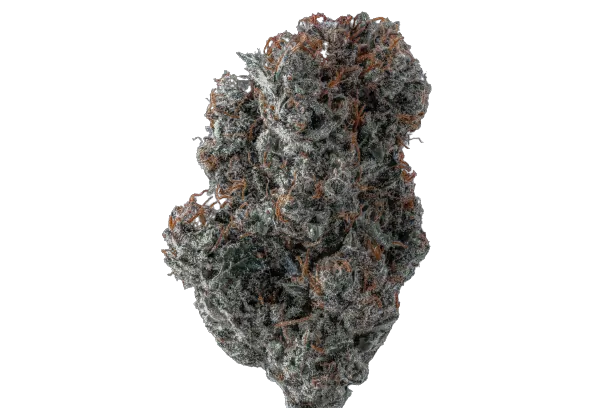 Applez and Bananaz Feminised Seeds