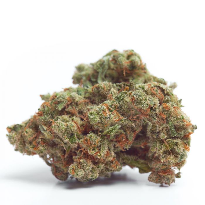 Gorilla Cookies Feminised Seeds