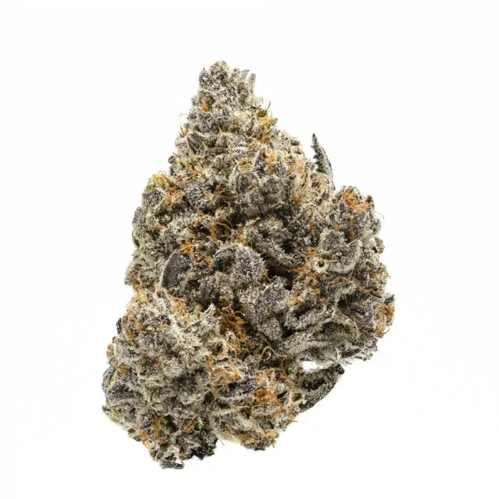 Rainbow Runtz Feminised Seeds
