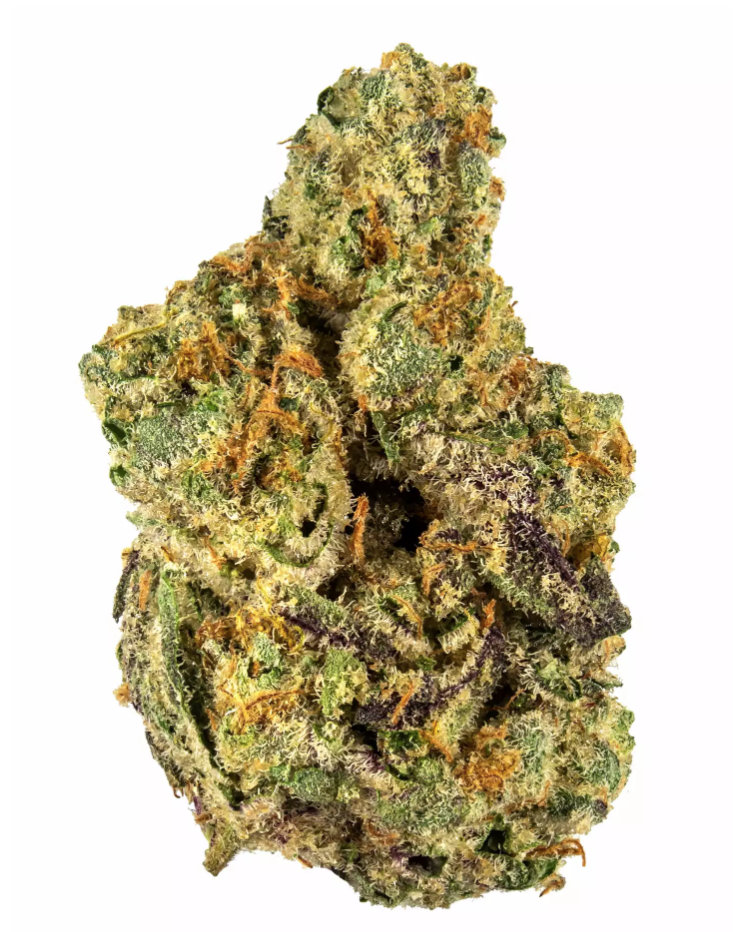 Gary Payton Feminised Seeds