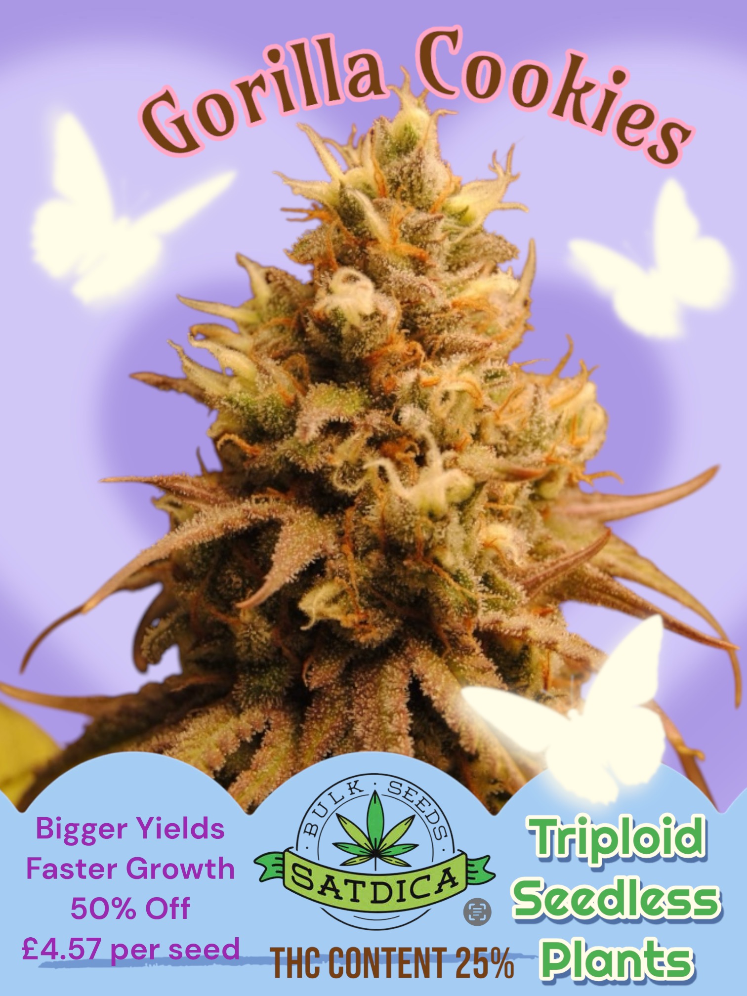 Gorilla Cookies Triploid Feminised Seeds